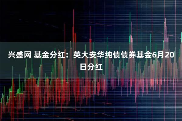 兴盛网 基金分红：英大安华纯债债券基金6月20日分红